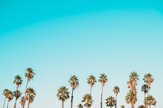 Top Chula Vista news: Brush fire sparks off I-805; inaugural 'Chula Fest' to be held Sunday; more