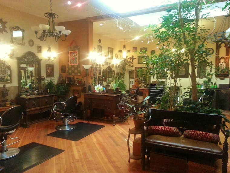 A Hidden Jungle Hair Salon In Hayes Valley