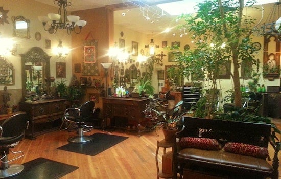 A Hidden Jungle Hair Salon In Hayes Valley