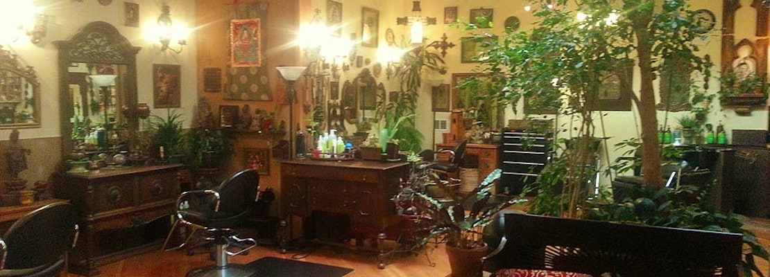 A Hidden Jungle Hair Salon In Hayes Valley