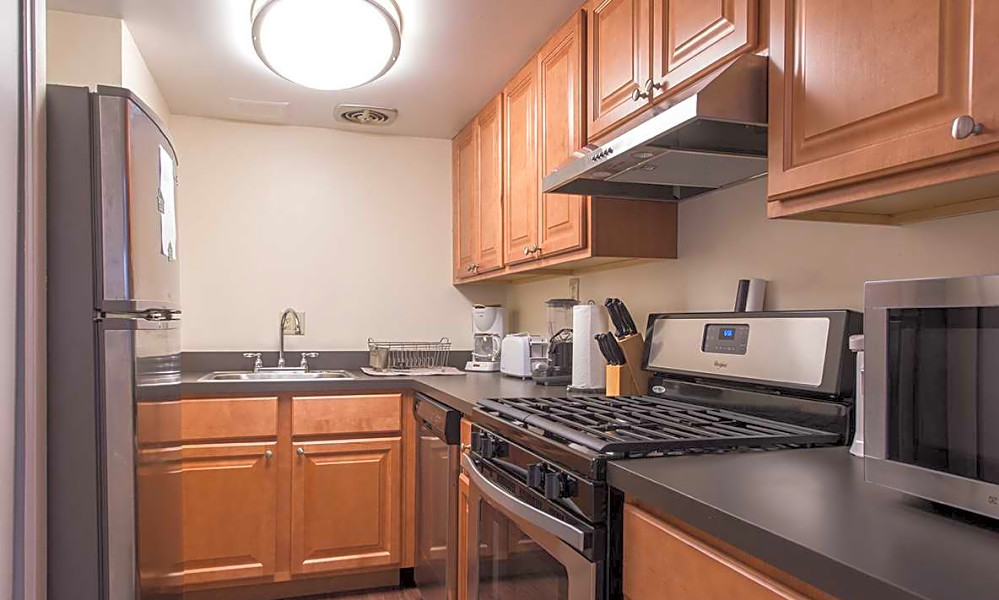 What apartments will 1,600 rent you in Squirrel Hill South, this