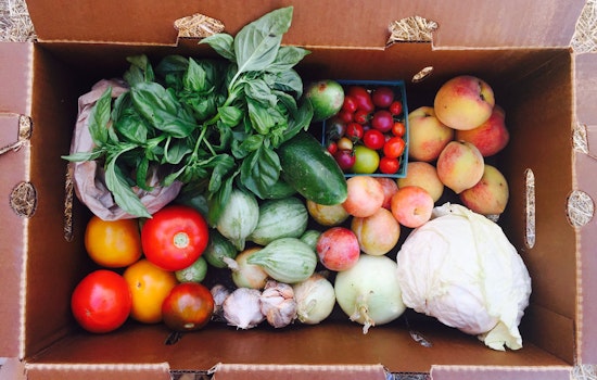 Bayview farmers market returns on Saturday