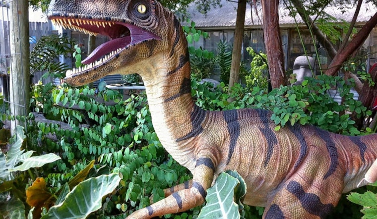 Explore the 3 top spots in San Antonio's Dellcrest Area neighborhood