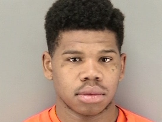 Police Seeking Suspect Charged With Domestic Violence, Animal Cruelty