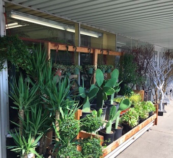 Supervisors Support Land Swap Aimed At Preserving SF Flower Mart
