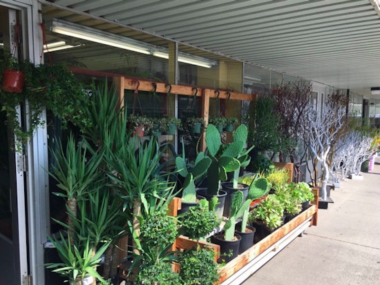 Supervisors Support Land Swap Aimed At Preserving SF Flower Mart