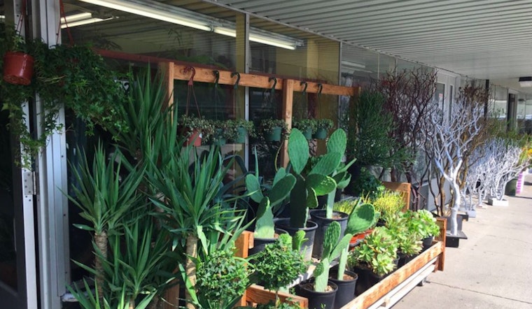 Supervisors Support Land Swap Aimed At Preserving SF Flower Mart