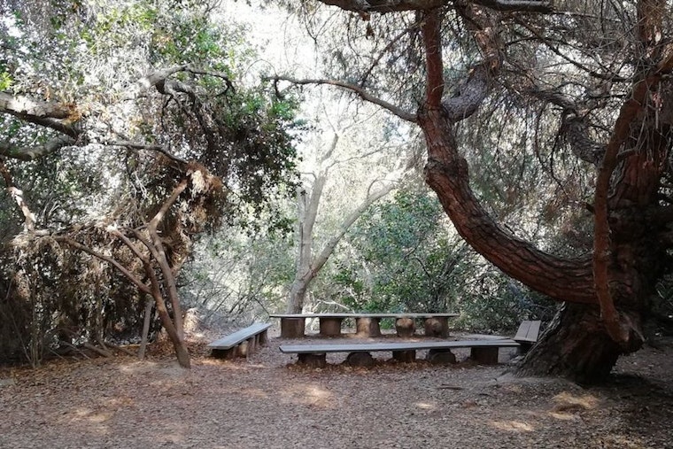 Long Beach's top 4 parks to visit now