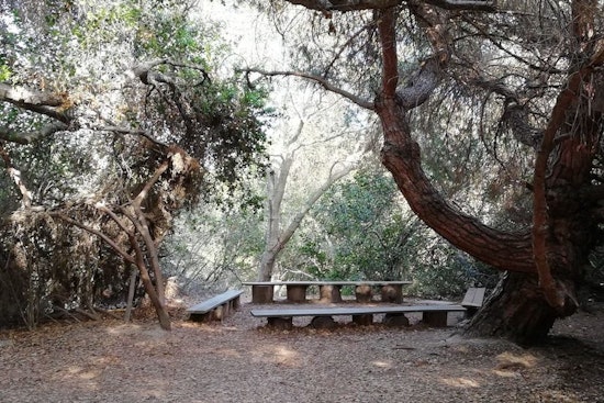 Long Beach's top 4 parks to visit now
