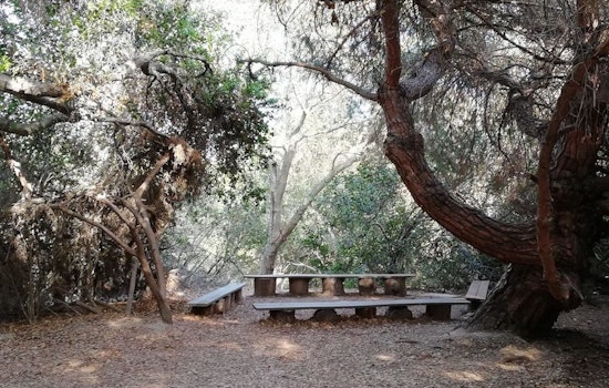 Long Beach's top 4 parks to visit now