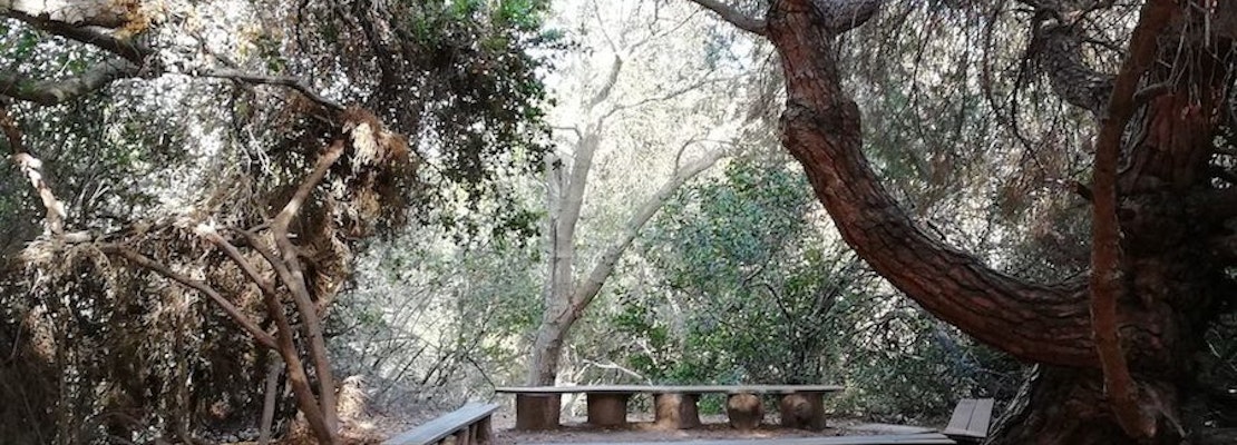 Long Beach's top 4 parks to visit now