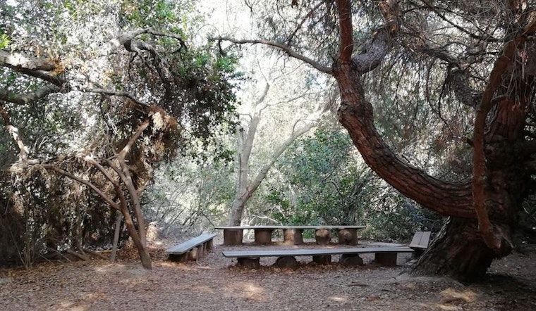 Long Beach's top 4 parks to visit now