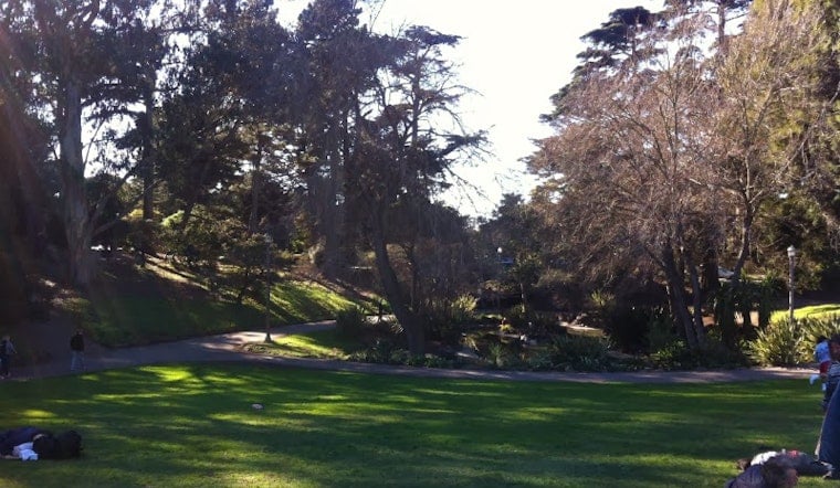 Calling All Landscape Architects