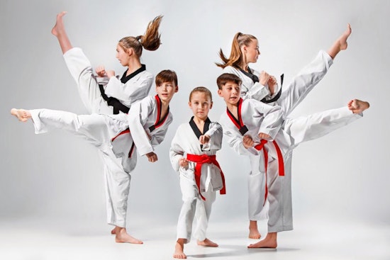 New taekwondo spot Dreamkick Taekwondo now open