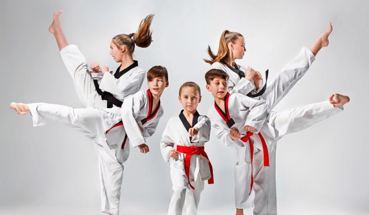 New taekwondo spot Dreamkick Taekwondo now open