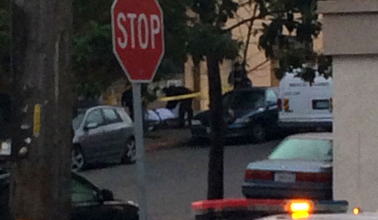 Body Found In Koshland Park