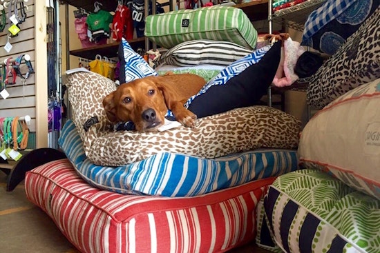 Fort Worth's top 5 pet supply shops, ranked