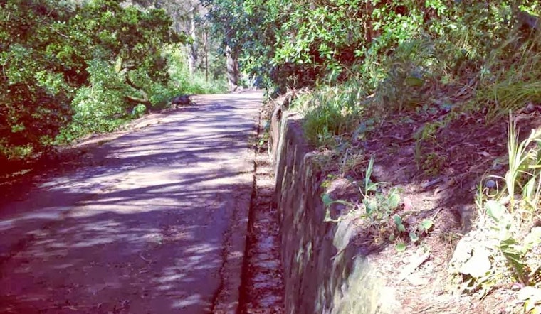 Petition To Improve Buena Vista