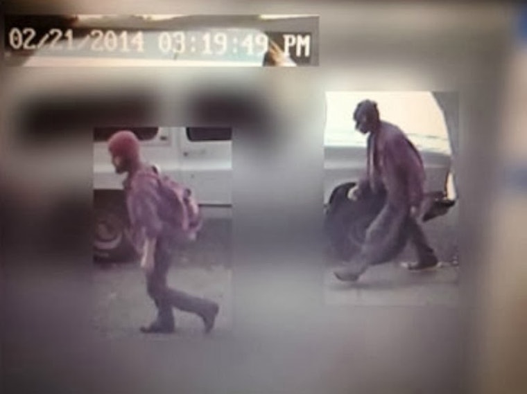 Burglars On The Prowl