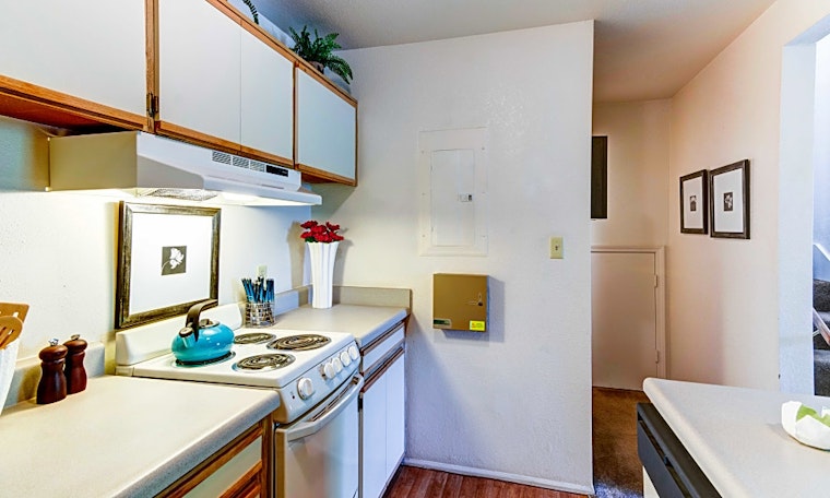 Renting in Albuquerque: What's the cheapest apartment available right now?