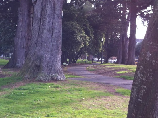 Get Involved With Panhandle Park Improvements
