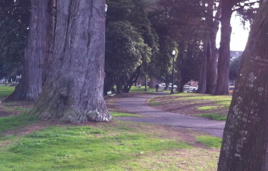 Get Involved With Panhandle Park Improvements