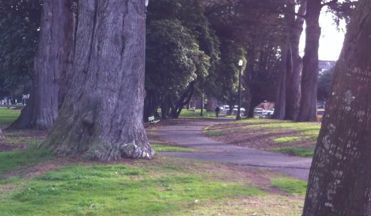 Get Involved With Panhandle Park Improvements