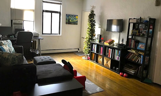 The most affordable apartments for rent in Squirrel Hill South, Pittsburgh