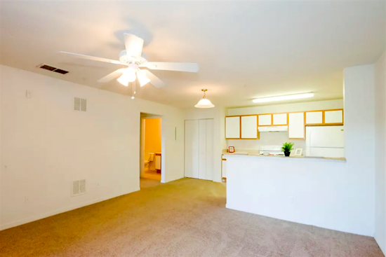 Budget apartments for rent in Rosemont, Orlando