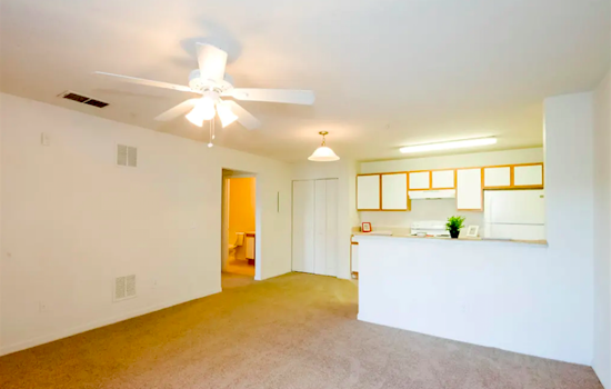 Budget apartments for rent in Rosemont, Orlando