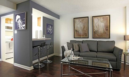 Renting in New Orleans: What's the cheapest apartment available right now?