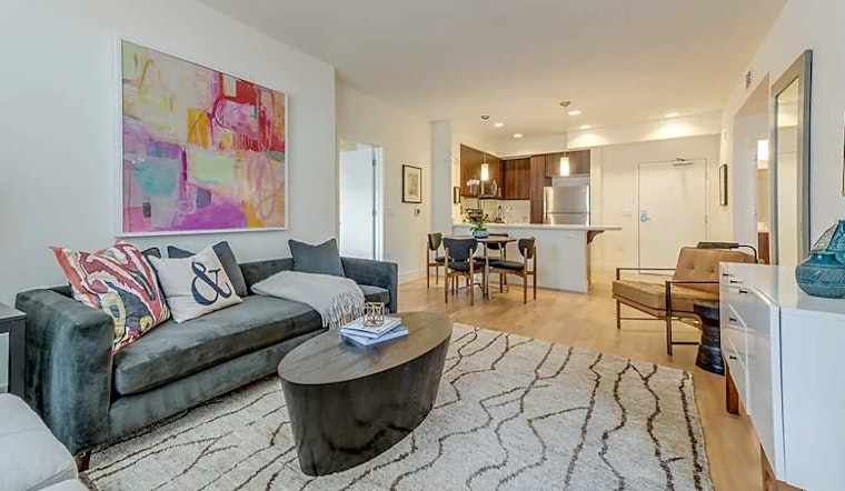 What apartments will $3,200 rent you in Downtown, this month?