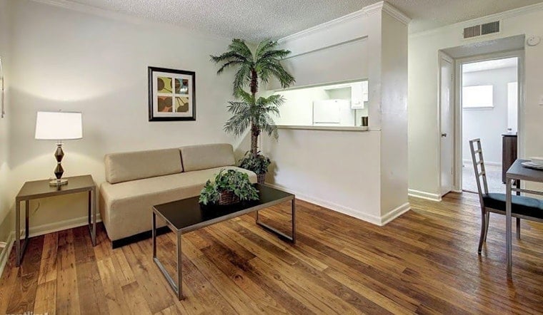Budget apartments for rent in Hyde Park, Austin