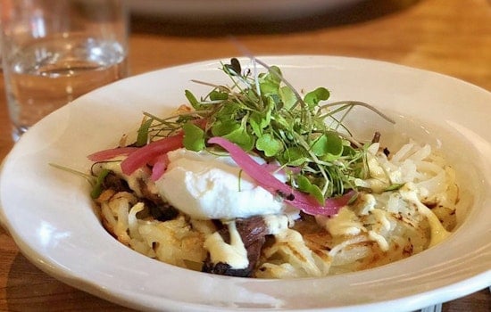 Explore the 4 top spots in Minneapolis's Northrop neighborhood
