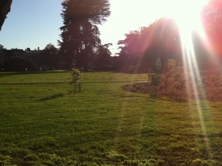 Kezar Triangle Opening Celebration This Saturday