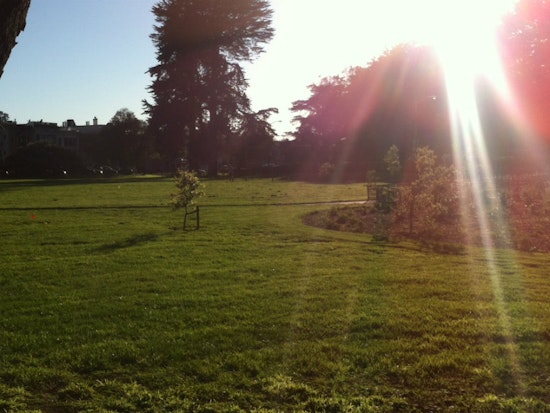 Kezar Triangle Opening Celebration This Saturday