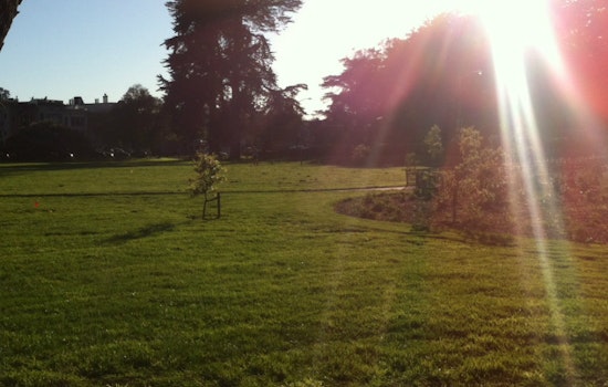 Kezar Triangle Opening Celebration This Saturday