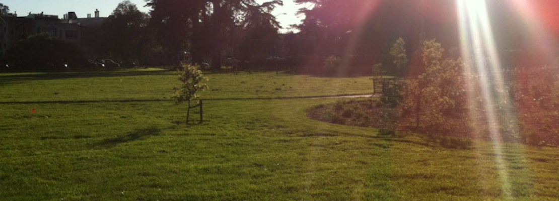 Kezar Triangle Opening Celebration This Saturday