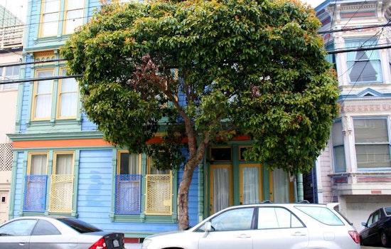 Want A Tree? You're In Luck