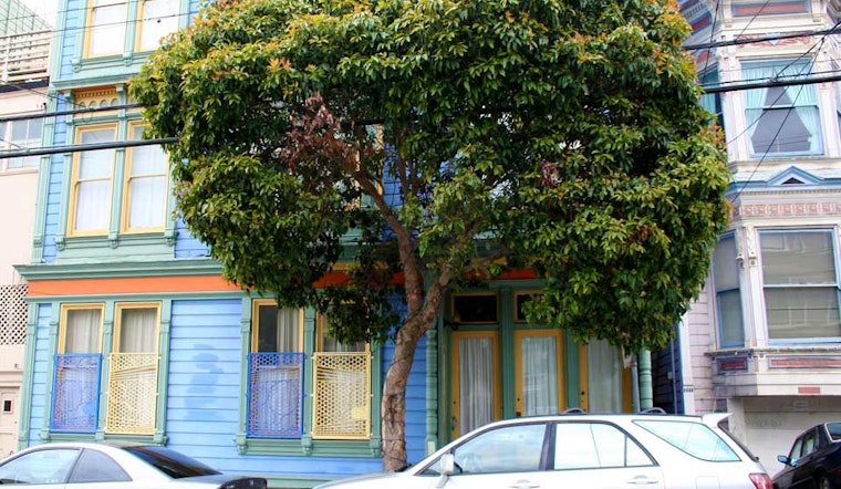 Want A Tree? You're In Luck
