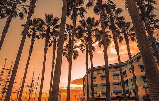 Oakland weekend: OBC wine party, bugs and butterflies, more
