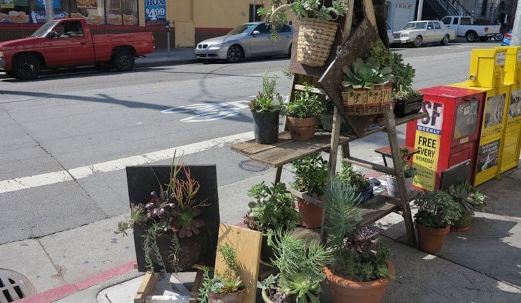 Scope This Sweet Succulent Selection Every Sunday