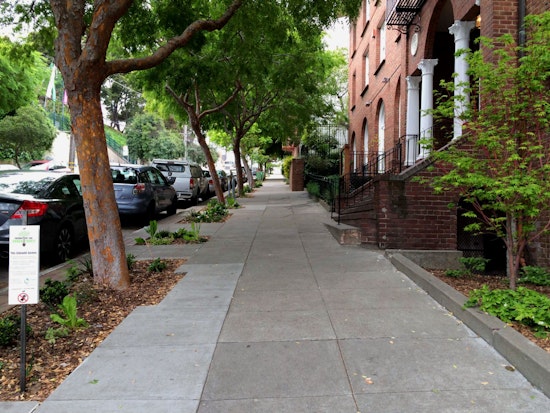 Tonight's HVNA Meeting: Greening In Hayes Valley