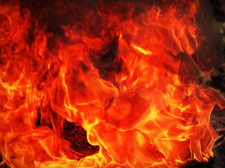 Top Aurora news: 2 horses killed, 1 severely burned in fire; middle school dean found dead; more