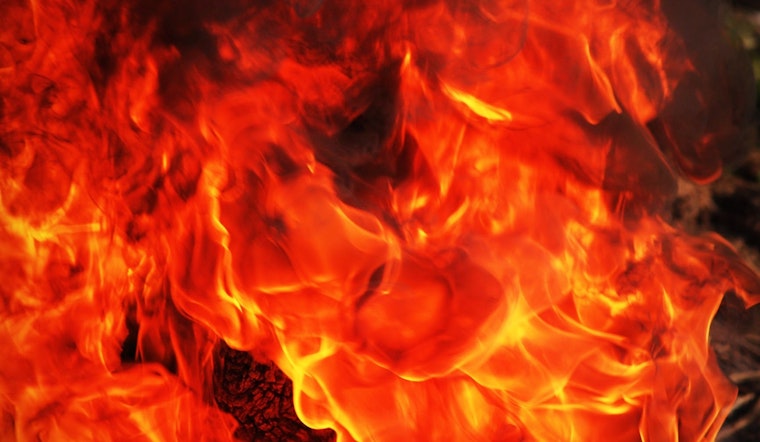 Top Aurora news: 2 horses killed, 1 severely burned in fire; middle school dean found dead; more
