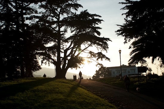 Meet Terry Williams, Dog Walker And Alamo Square Mainstay