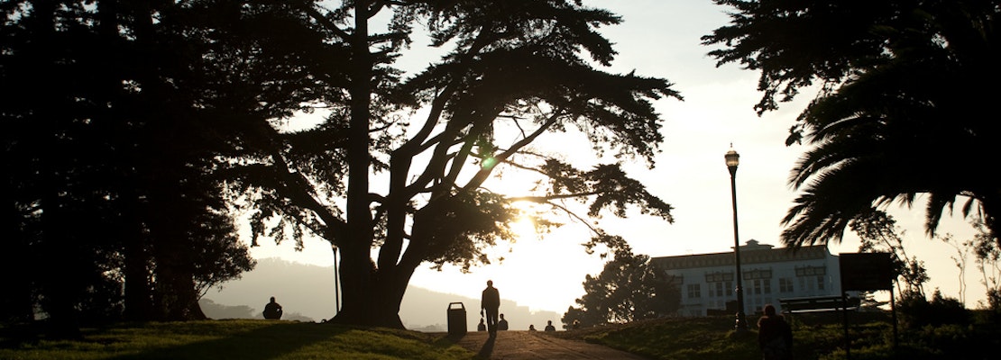 Meet Terry Williams, Dog Walker And Alamo Square Mainstay