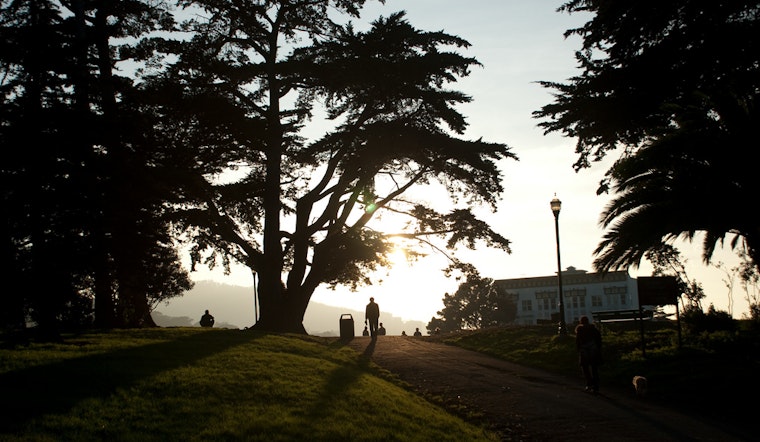Meet Terry Williams, Dog Walker And Alamo Square Mainstay