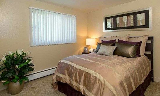Renting in Aurora: What's the cheapest apartment available right now?