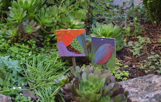 Urban Gardens Invade NOPA Sidewalks